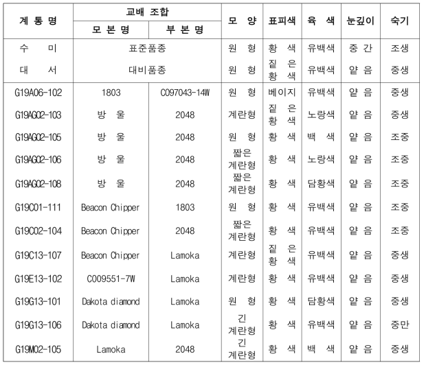 2022년 생산력검정 예비시험 장휴면(1기작) 선발 계통의 괴경 특성