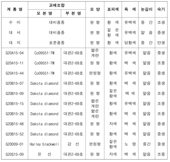 2023년 생산력검정 예비시험 단휴면(2기작) 선발 계통의 형태적 특성