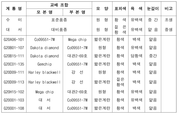 2023년 생산력검정 예비시험 장휴면(1기작) 선발 계통의 괴경 특성