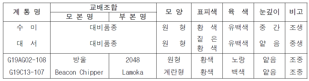 2023년 생산력 검정 본시험 장휴면(1기작) 선발 계통의 괴경 특성