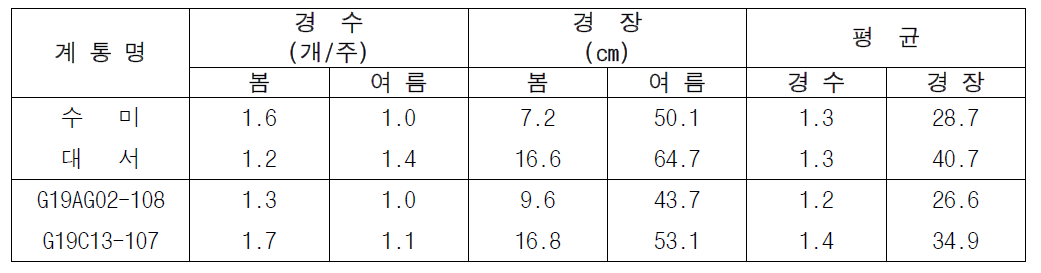 2023년 생산력 검정 본시험 장휴면(1기작) 선발계통의 생육 특성