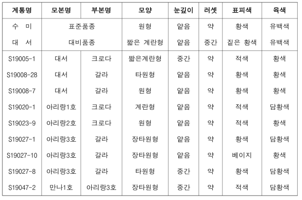 2023년도 생산력검정예비시험 선발계통 괴경 특성