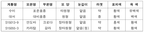 2020년도 생산력검정본시험 우수계통의 숙기 및 형태적 특성