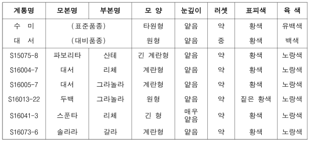 2021년도 생산력검정본시험 시험계통의 숙기 및 형태적 특성