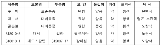 2023년도 생산력검정본시험 주요 선발 계통의 숙기 및 형태적 특성