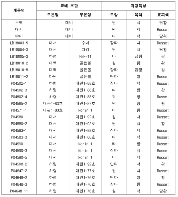 2022년도 생산력검정예비시험 시험계통 괴경특성