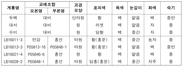 2021년도 생산력검정본시험 시험계통 괴경특성