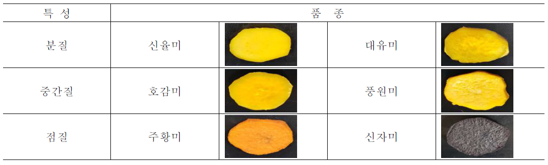 고구마 8품종 특성과 전처리(증자)후 육색
