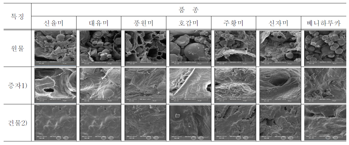 주사전자현미경(Scanning electron microscopy)으로 관찰한(×2000) 고구마 전분의 원물, 증자, 건물 입자형태