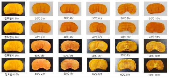 건조 온도와 시간에 따른 건조 반시 색의 변화