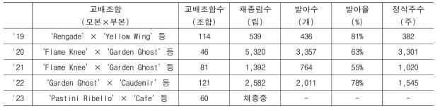 실생계통 양성을 위한 특이화형 거베라 품종 및 계통간 교배, 파종, 정식