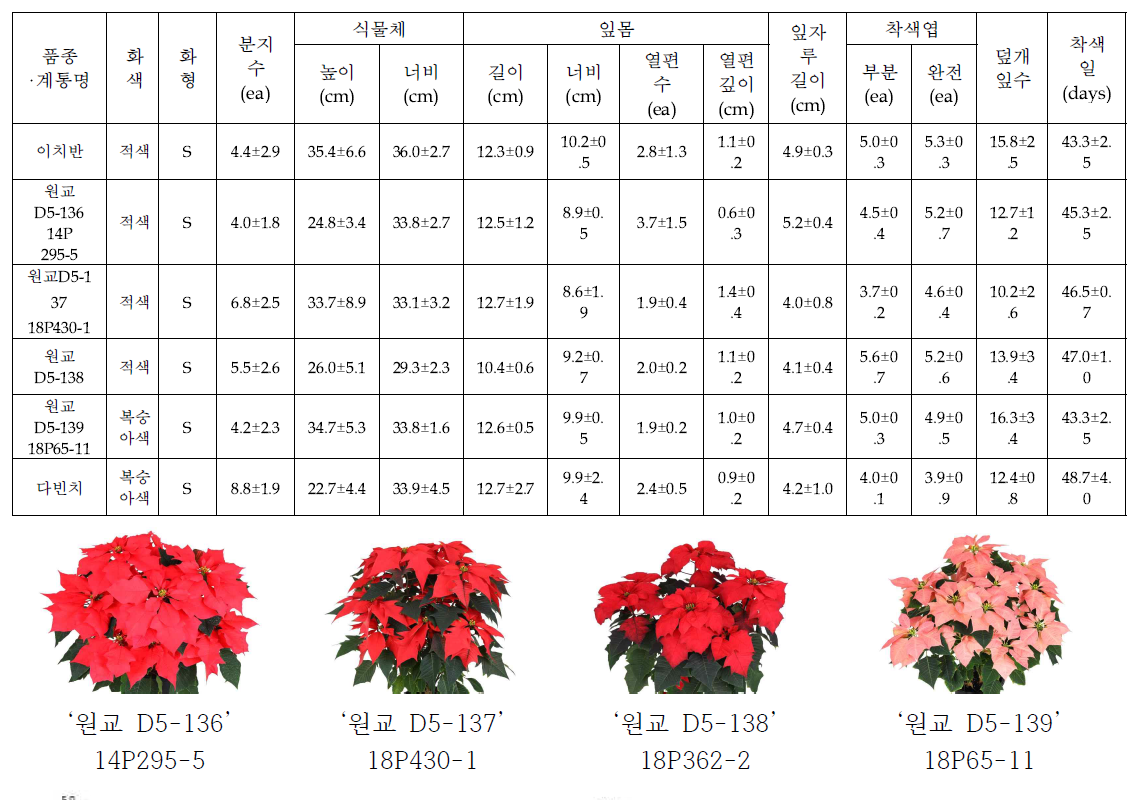 3차계통 특성검정