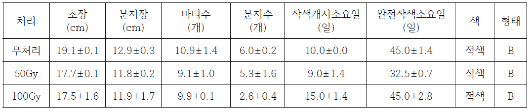 2021년 방사선 처리 강도에 따른 ‘레드볼’ 생육 및 변이 발생 정도