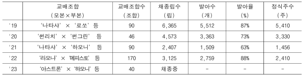 실생계통 양성을 위한 대륜 거베라 품종 및 계통간 교배, 파종, 정식