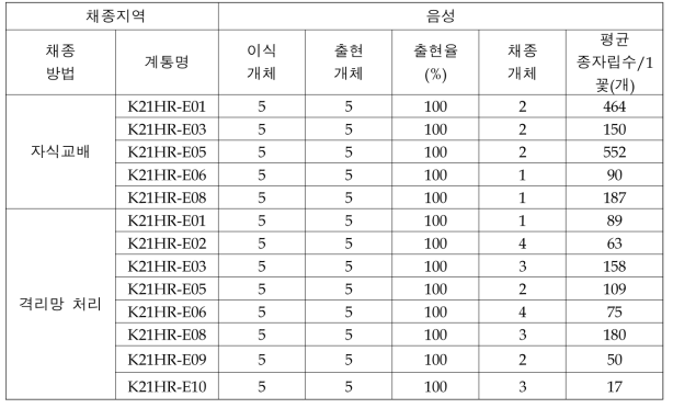 참당귀 계통 세대진전(2022)