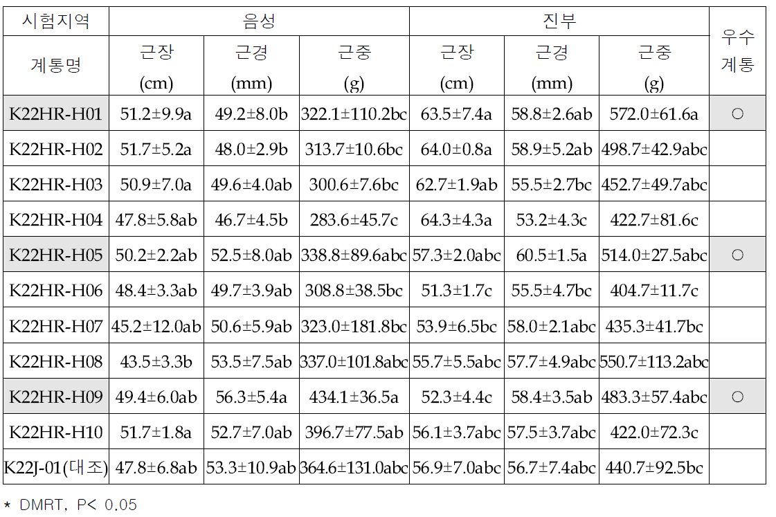 참당귀 지하부 생육특성(2022)