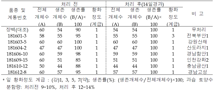 포장 과습처리 후 생존율 및 엽 황화정도 조사(파종 후150일, 14일 과습처리)(2019)