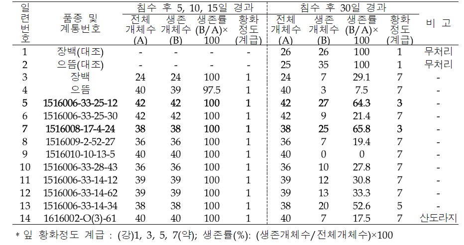 유묘기 침수처리 후 생존율 및 잎 황화정도 조사(2020)