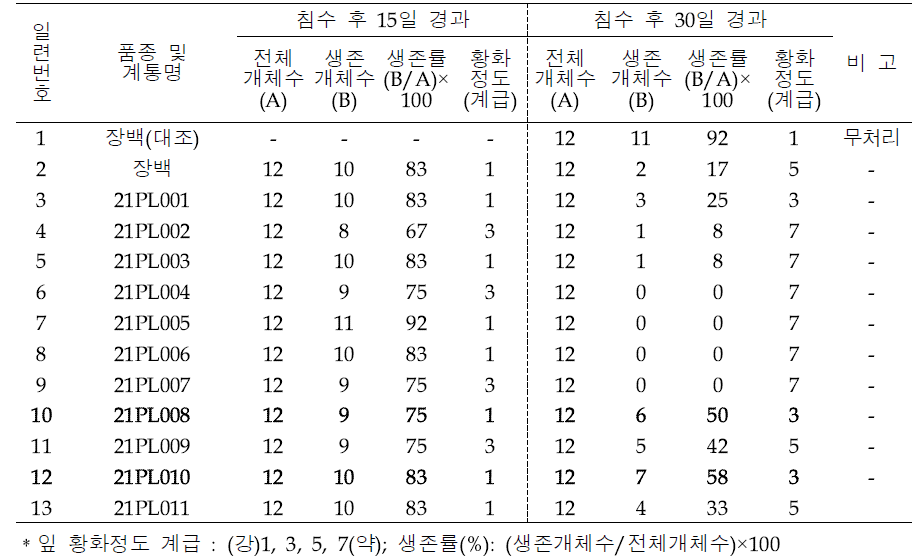 생육중기 침수처리 후 생존율 및 잎 황화정도 조사(2021)