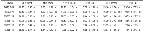 도라지 내습성 계통 생육 특성 조사(2023)