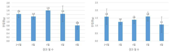 장백(좌), 으뜸(우)의 암술 성숙 단계별 수확 종자의 천립중(2019)