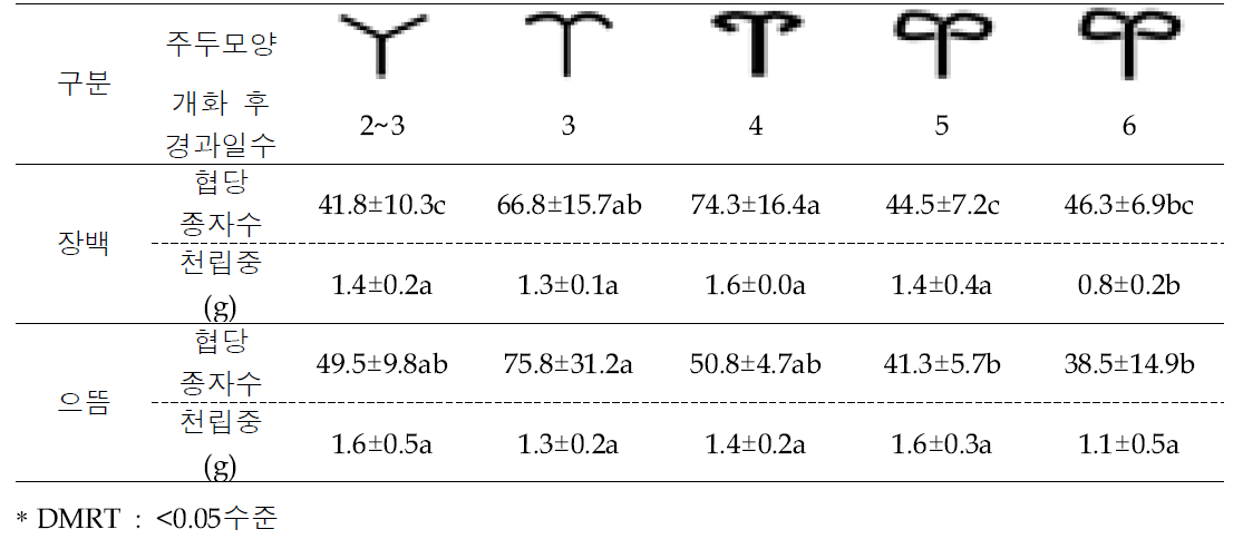 장백 암술 성숙 단계에 따라 수분 후 협당 종자수(2019)