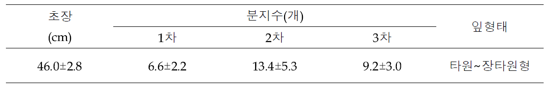 채종시기 조사 개체 생육 특성(2020)