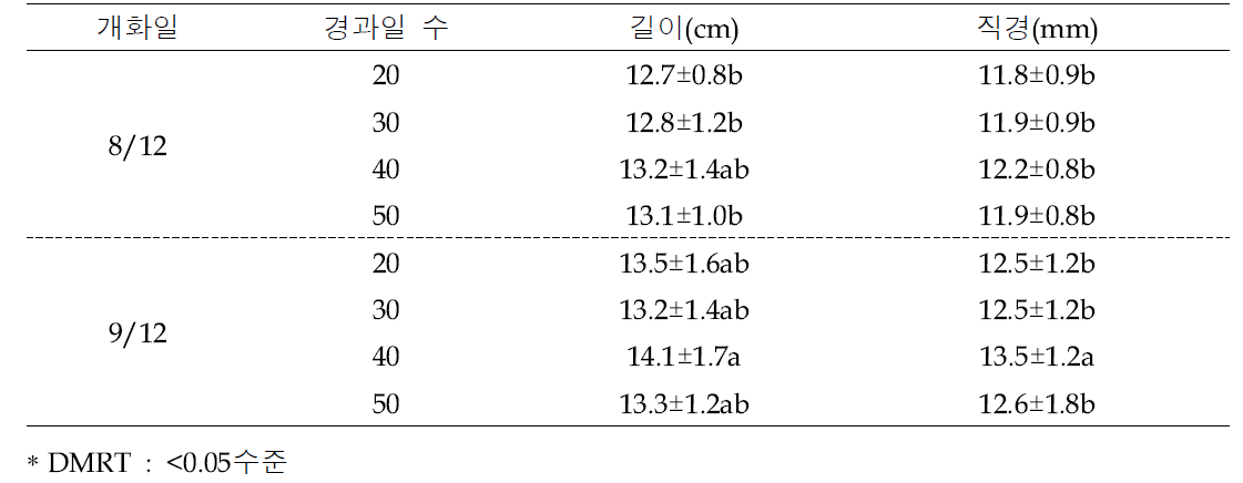 개화 후 경과일 수에 따른 도라지 자방 생육 특성(2020)