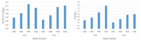 개화 후 경과일 수에 따른 정상종자무게(좌), 천립중(우)(2020)