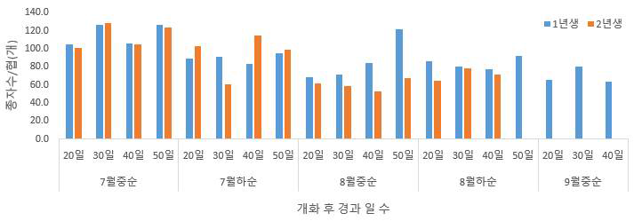 개화 후 경과 일 수에 따른 협당 종자수(2021)