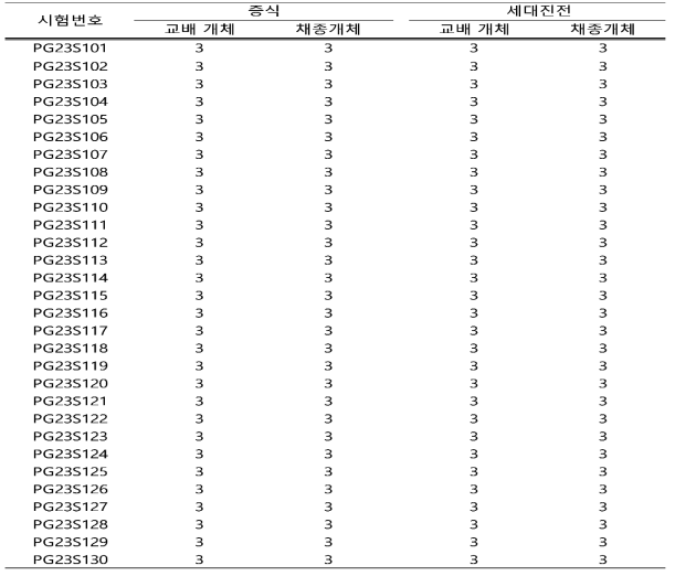 도라지 순계 교배 및 채종(2023)