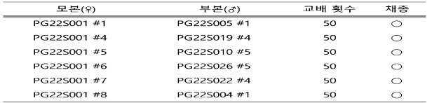 도라지 1대 잡종 육성을 위한 교배 및 채종(2023)