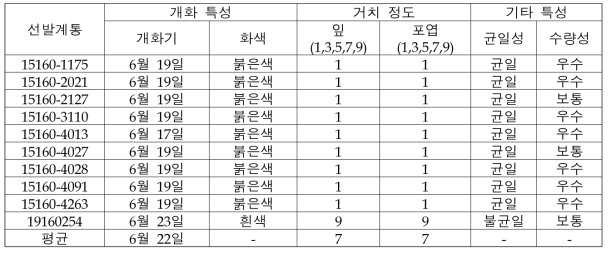 홍화 우수자원 선발