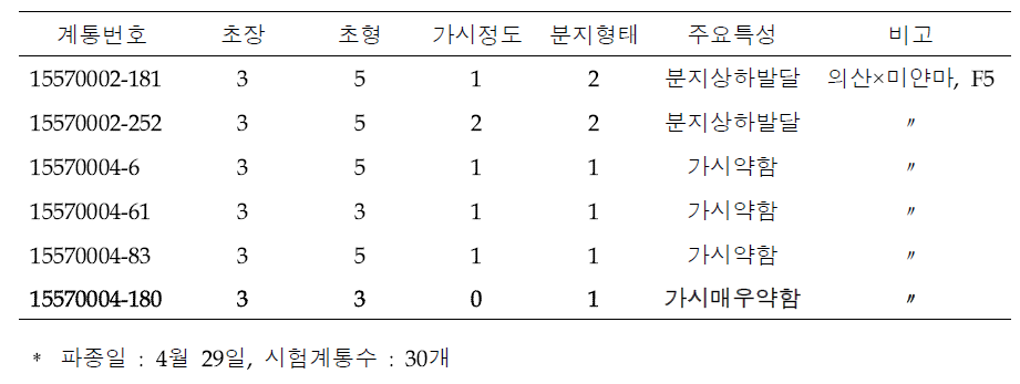 시험계통 생육특성 조사 결과(선발계통)(2020)