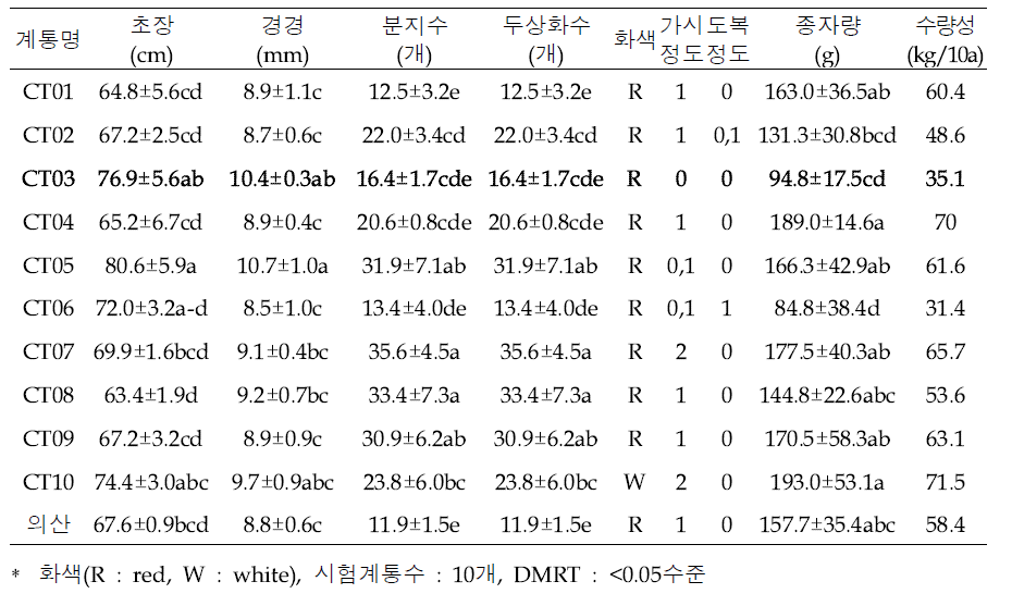 홍화 생산력검정(2020)