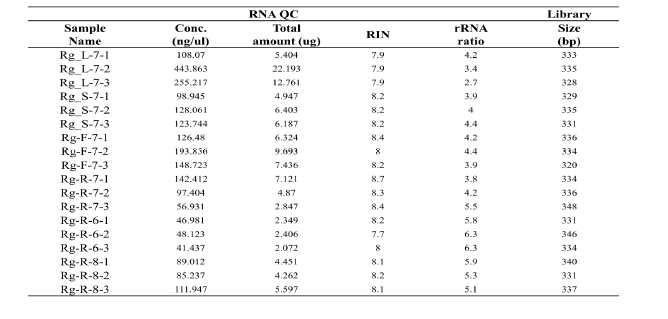 지황의 조직별 RNA QC 및 library 크기