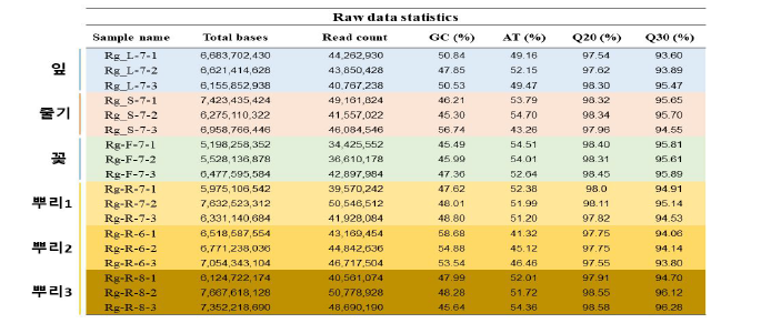 지황의 조직별, 시기별 Illumina HiSeqXten 시퀀싱