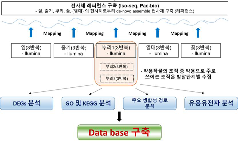 참조전사체 분석을 위한 연구개발 흐름도