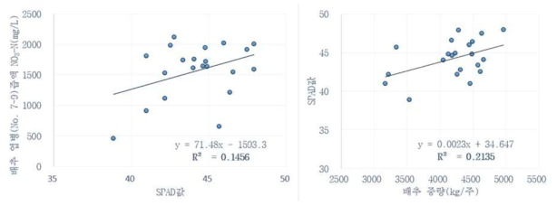 배추 수확기 엽의 SPAD값과 배추 수량 간 관계(유의성 인정)
