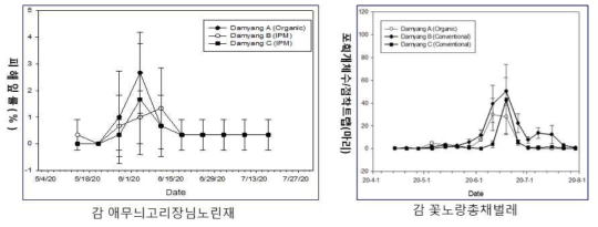 감 애무늬고리장님노린재 피해잎율 및 꽃노랑총채벌레 점착판트랩 포획 개체수 변화