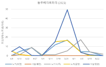 2023년 블루베리혹파리 발생 양상(트랩 당 포집된 마리수)