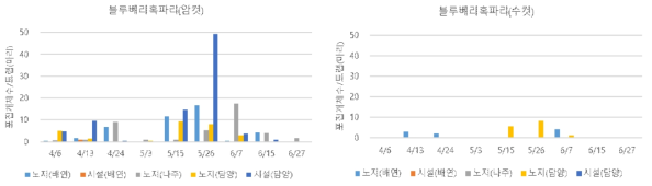 2023년 블루베리혹파리 암컷과 수컷의 발생 양상(트랩 당 포집된 마리수)