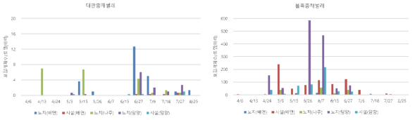 2023년 블루베리과원 내 대만총채벌레 및 볼록총채벌레 발생양상(트랩 당 포집된 마리수)