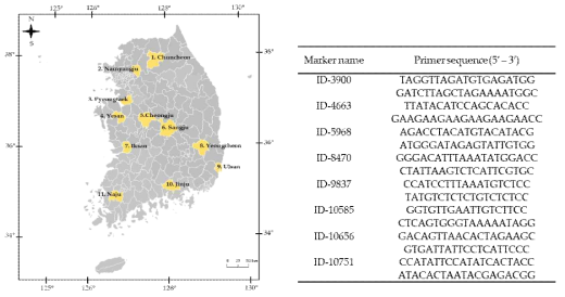 집단유전분석을 위한 주경배나무이 채집지 및 개발된 마이크로새틀라이트 마커