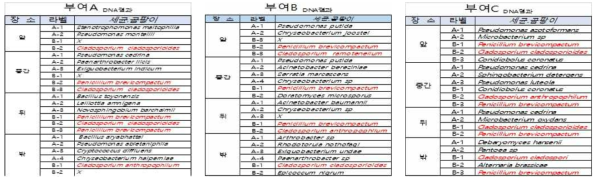 부여지역 양송이 농가별 재배사 부유미생물 분석 결과