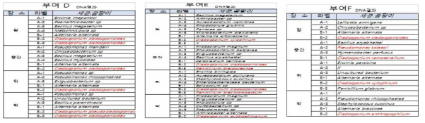 부여지역 원목표고 농가별 재배사 부유미생물 분석 결과