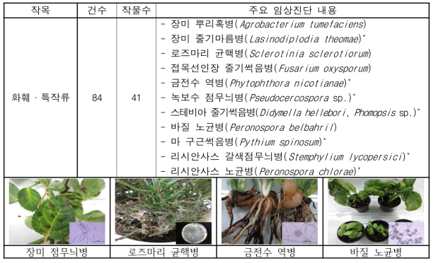 화훼·특작류 주요 임상진단 결과