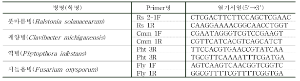 토마토 주요 병원균 4종의 multiplex PCR용 Primer의 염기서열