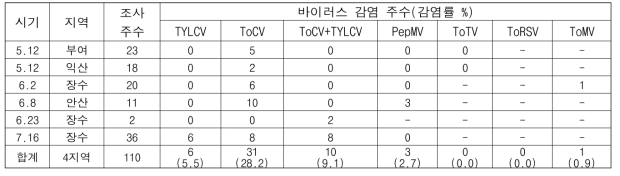 2021년 토마토 주산지 바이러스병 모니터링