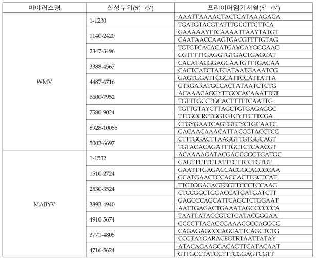 WMV와 MABYV의 전체 유전체 시퀀싱을 위해 사용한 프라이머 목록